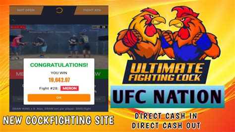 UFC NATION TUTORIAL / NEW BETTING WEBSITE .